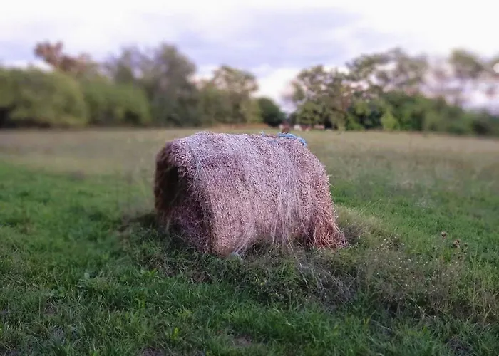 Bike&night Apartmán *